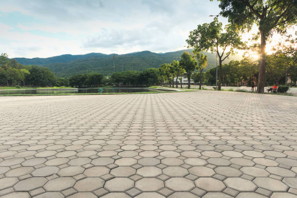 Best Professional Driveway Pavers  in Princeton, TX